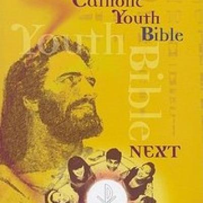 Fireside Catholic Youth Bible New American Bible